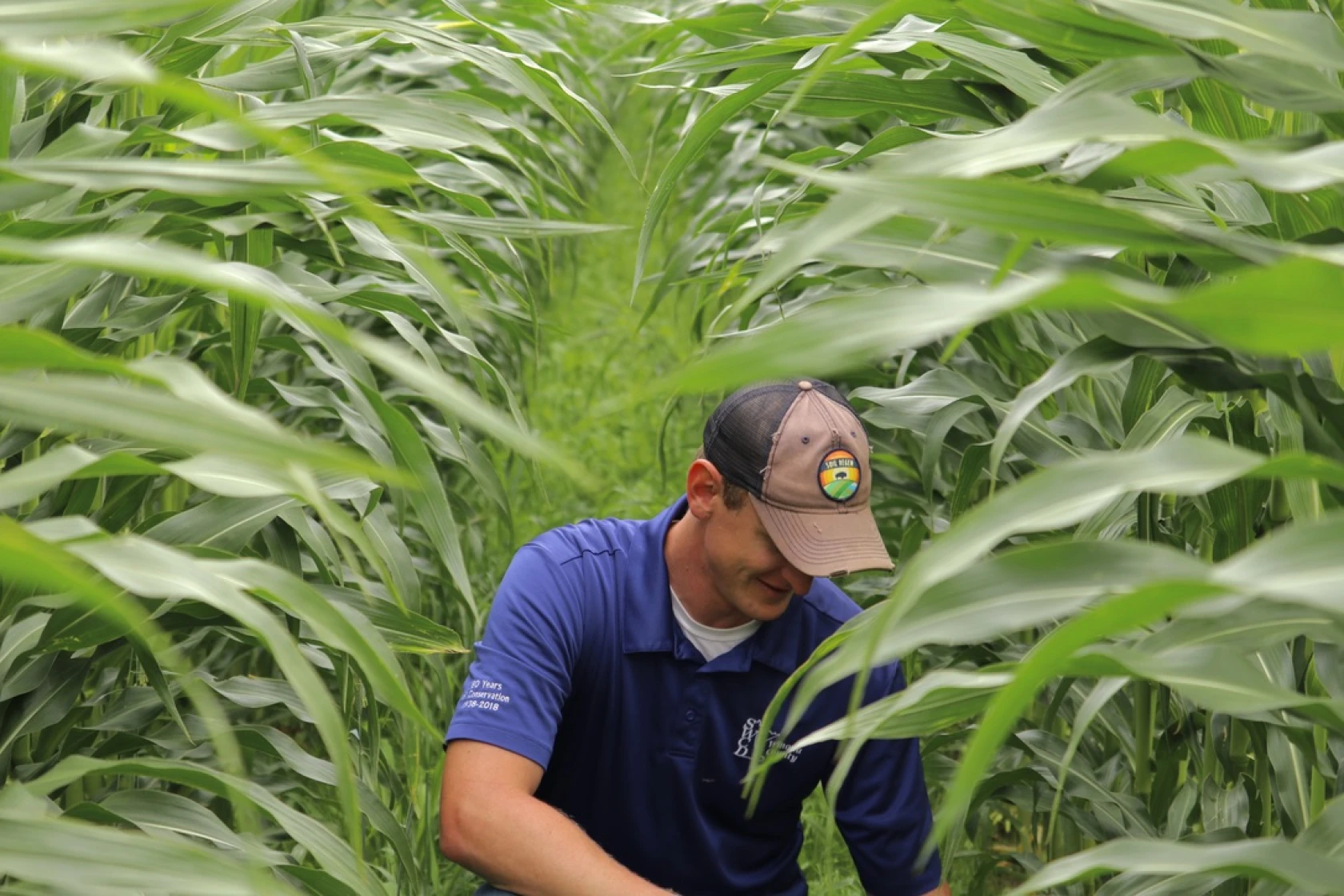 Lance Klessig in cover crops