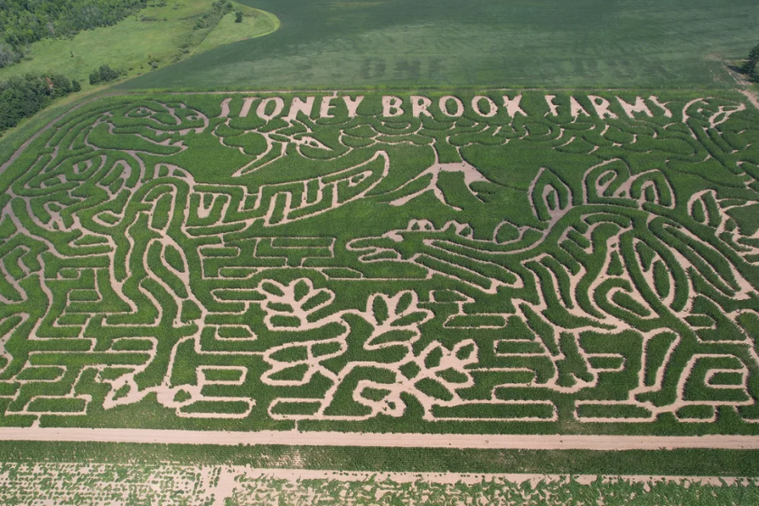 Corn Maze Pattern What's going on in September: Massive arts and craft fair, massive corn ...