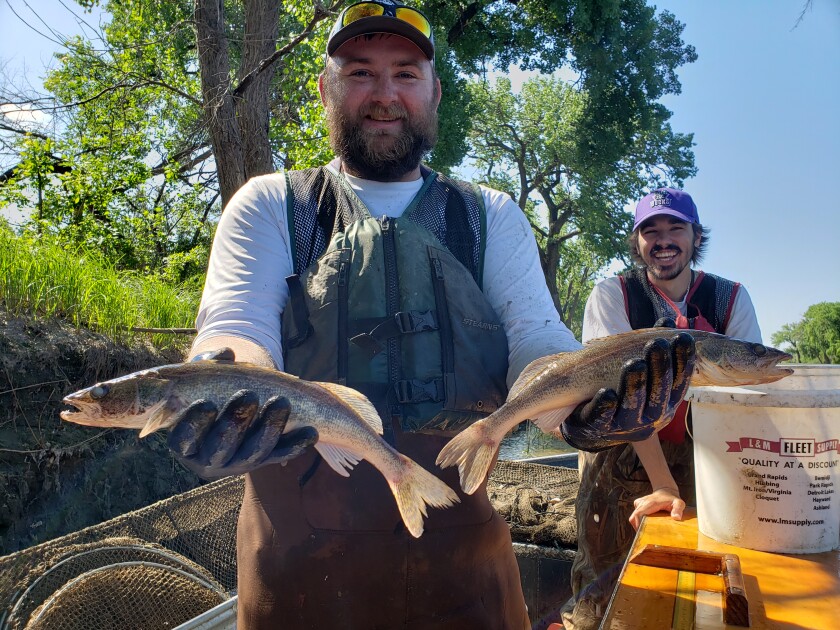 Nick Kangas sauger Baudette intern.jpg