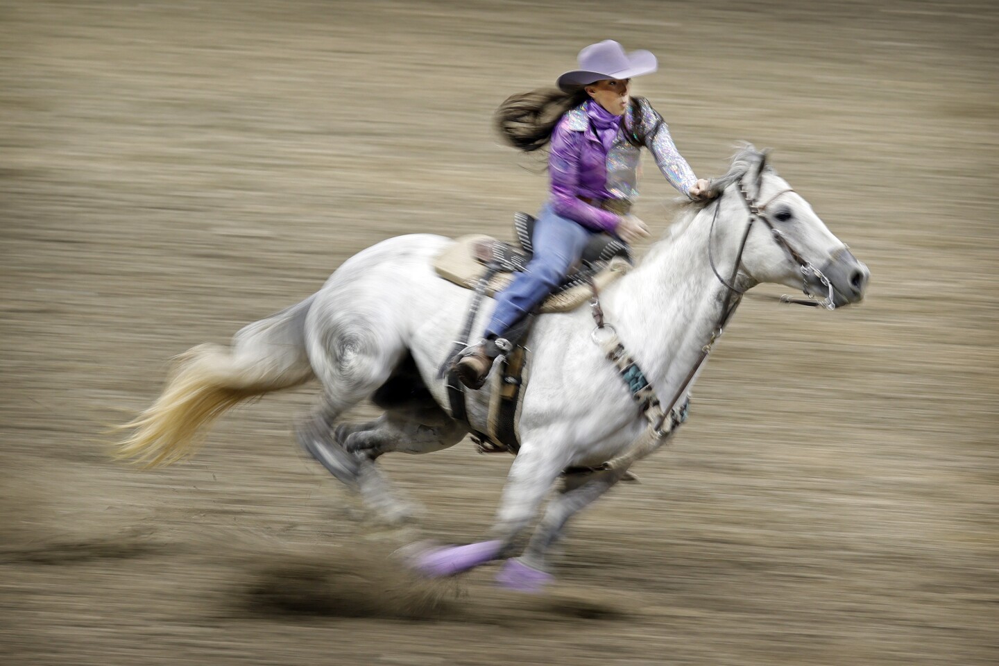 PHOTOS: PRCA Rodeo makes rowdy return to Fargodome - InForum | Fargo ...