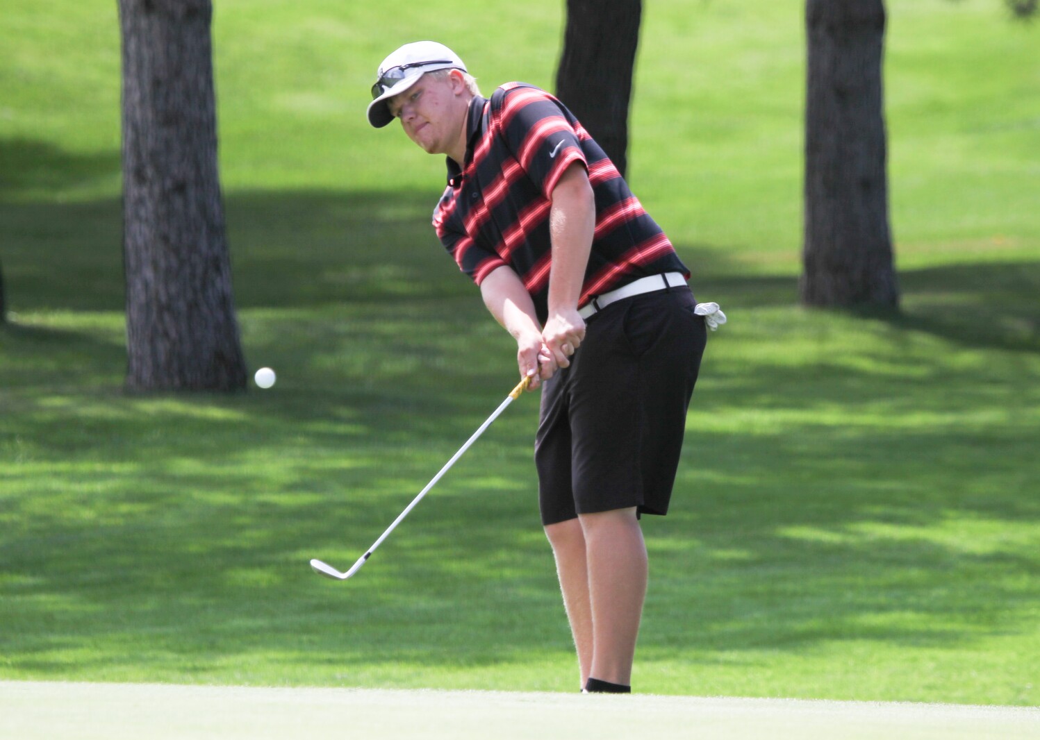 Lawson, Myhre earn Pine to Palm medalist honors Detroit Lakes Tribune