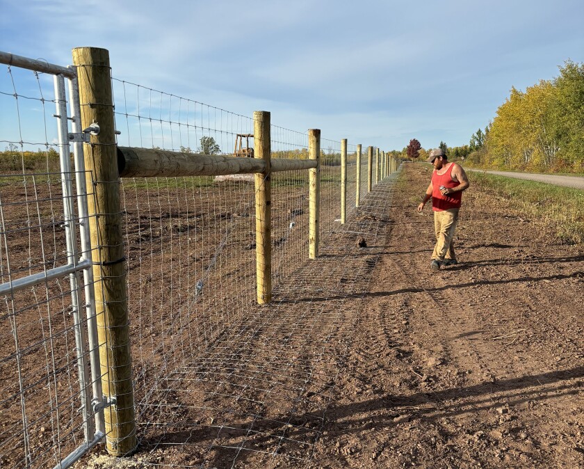 light-skinned man walks on dirt next to wood and barbed wire fence
