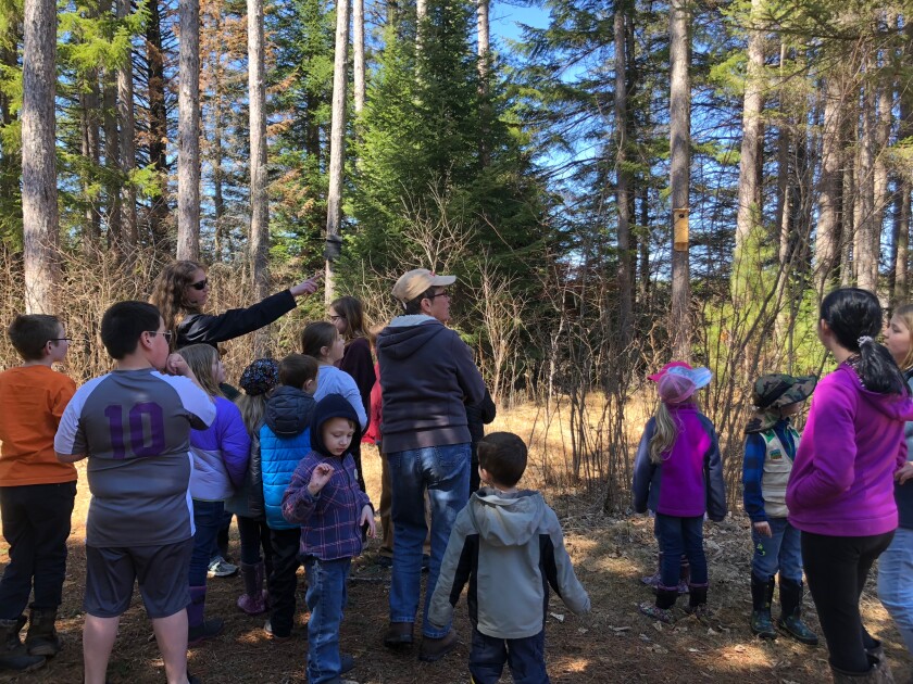 File: Cloquet Forestry Center