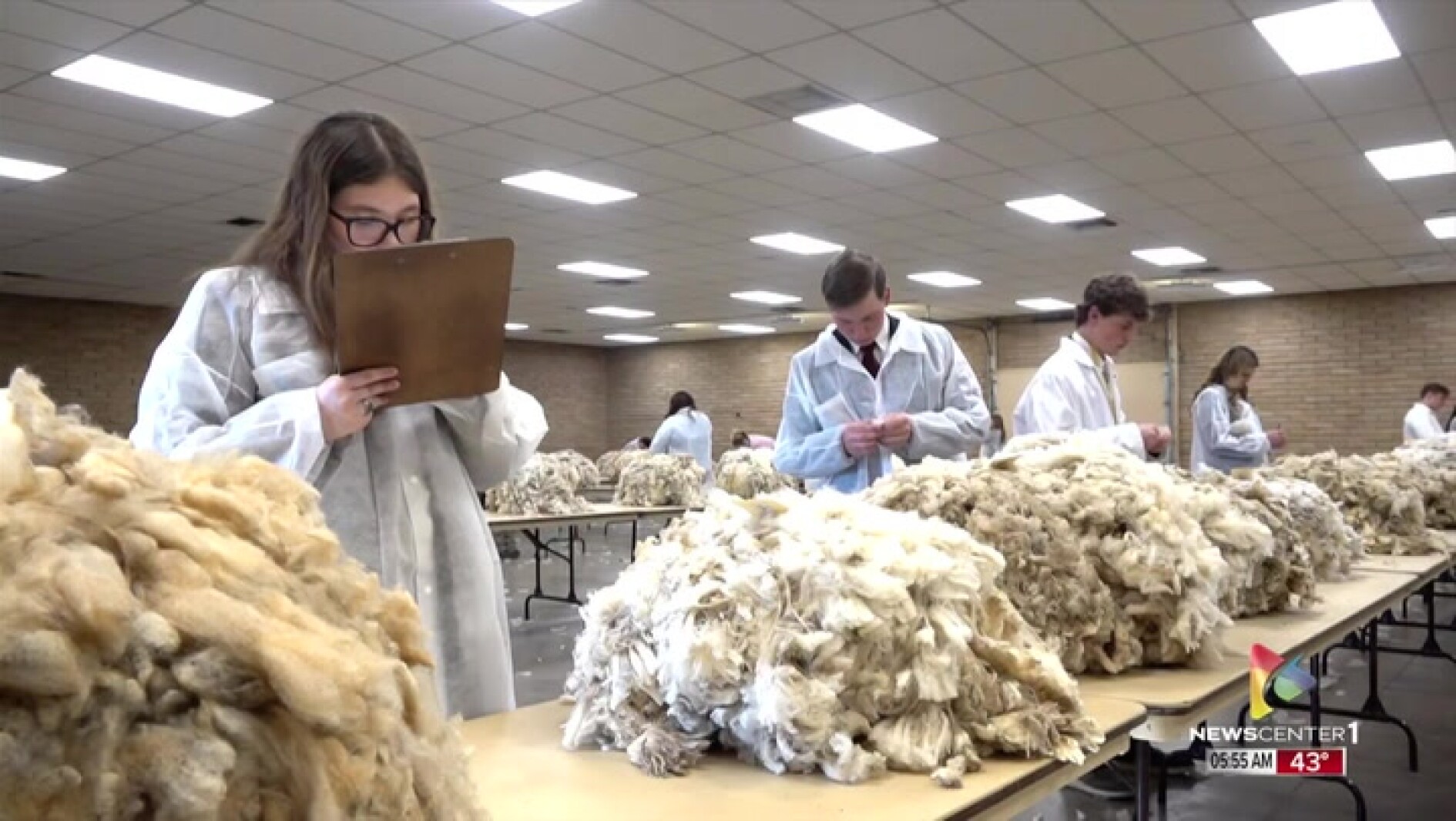 Teams from three states compete in wool judging event