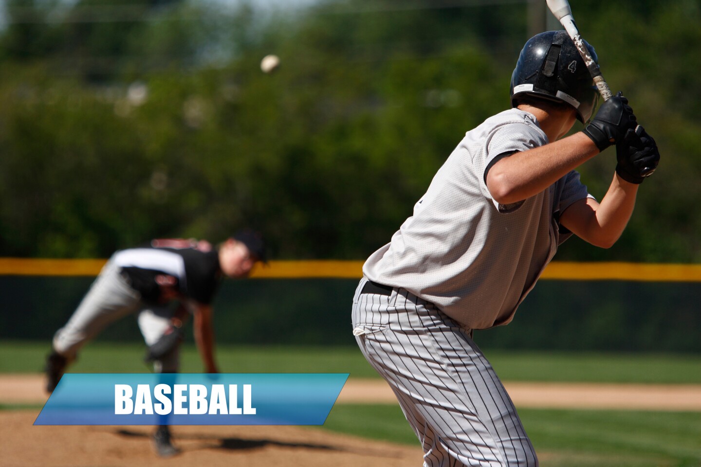 Mn Vfw Baseball 2025