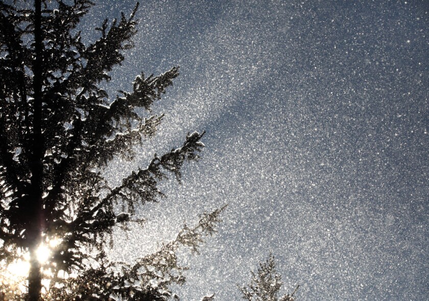 Snow crystal oval halo Jan 15 2022 blowing snow detail