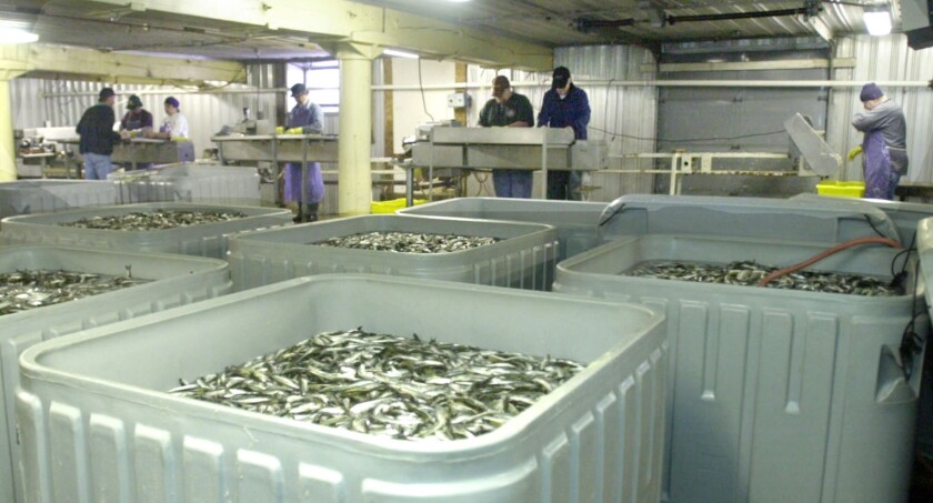 FILE: Sivertson Fisheries