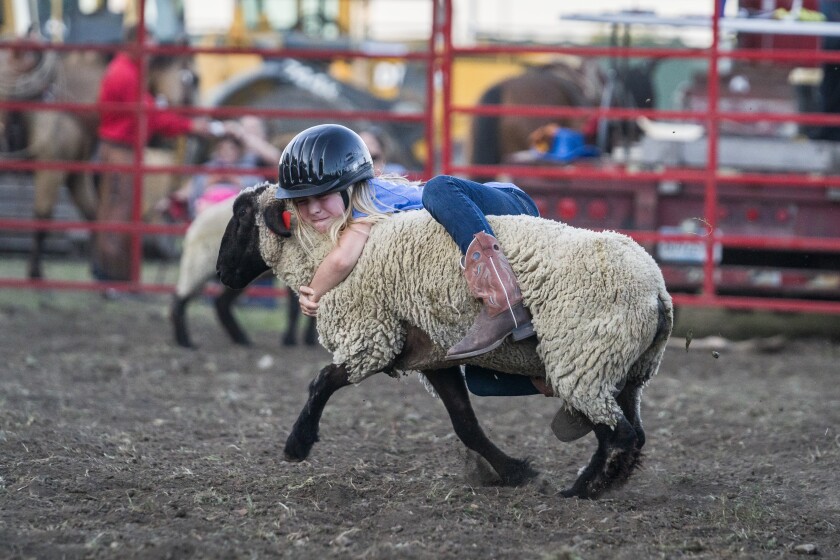Olmsted County Fair