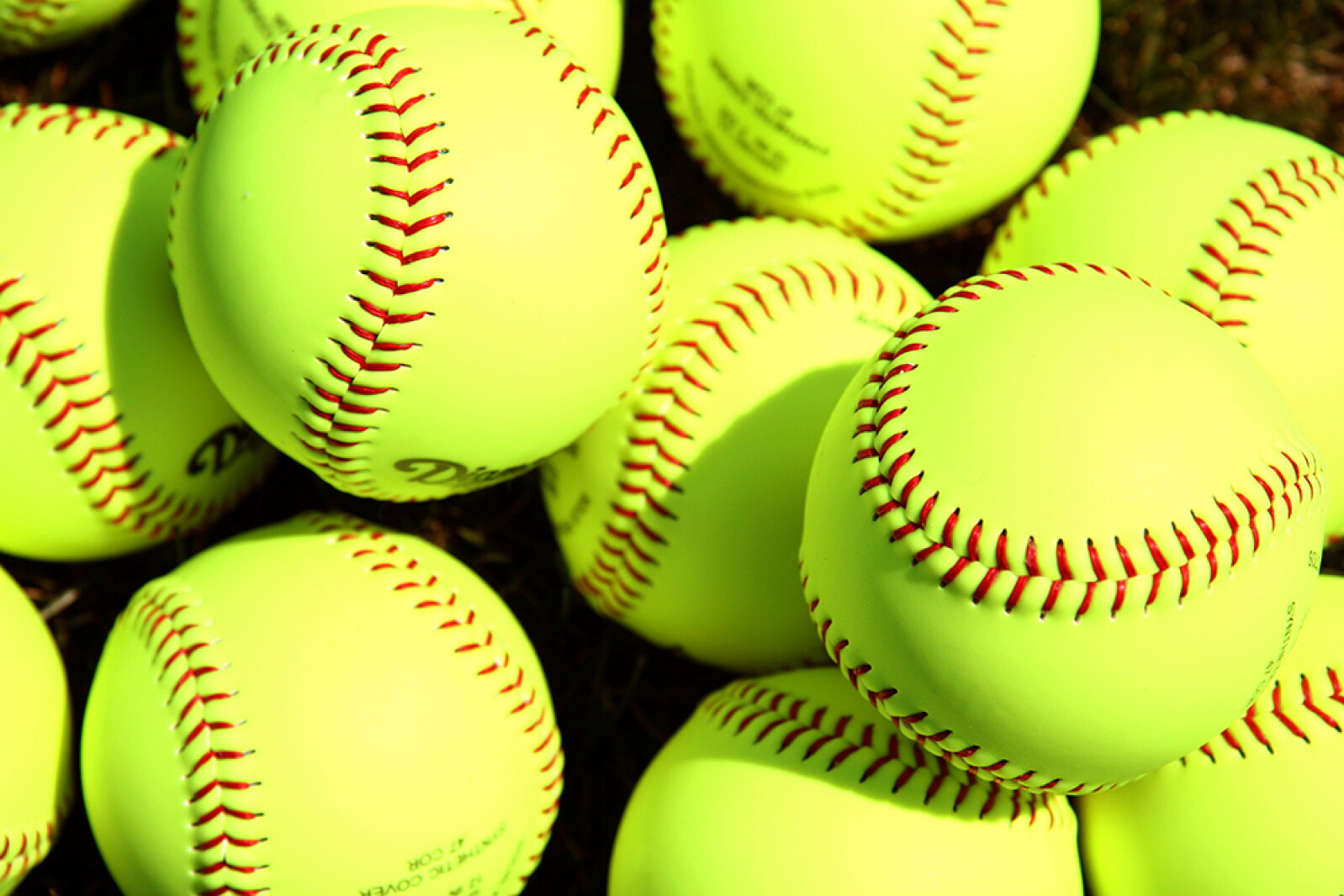 Red Lake Falls loses in state softball semifinals