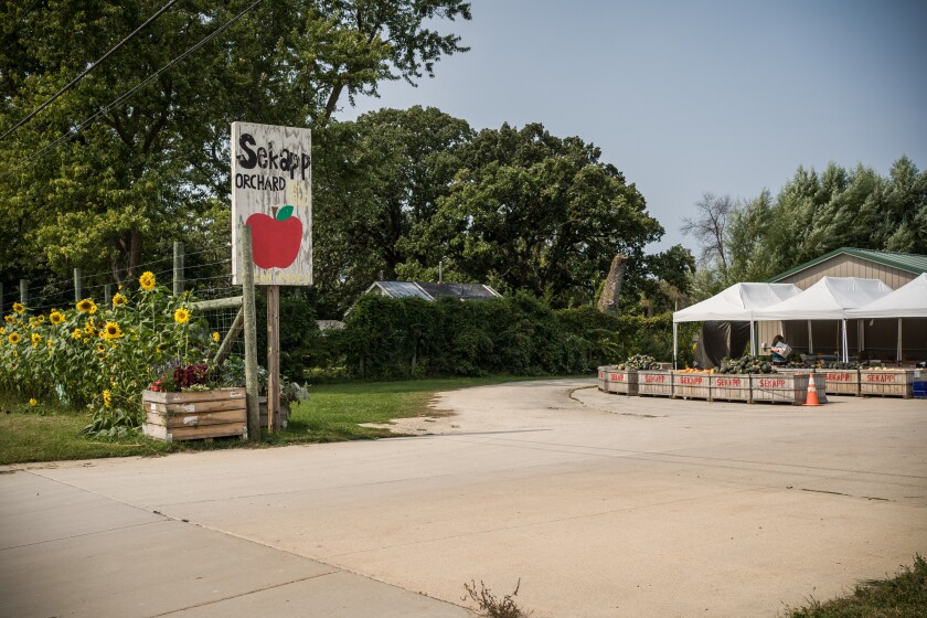 Sekapp Orchard