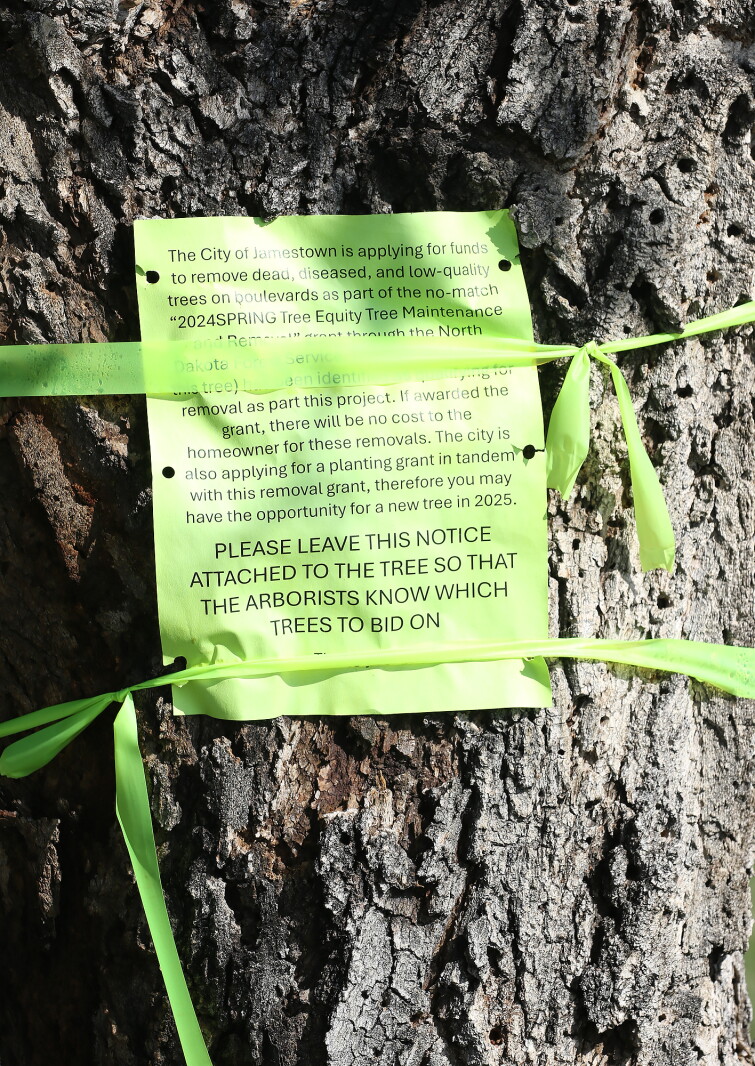 Tree Basic Signage Tree marking signage - Jamestown Sun | News, weather, sports from ...