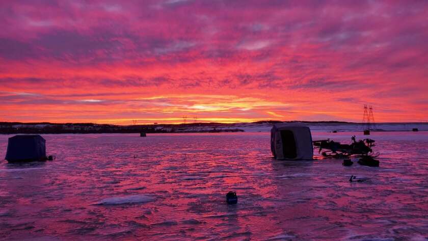012822.O.ICEFISH.jpg