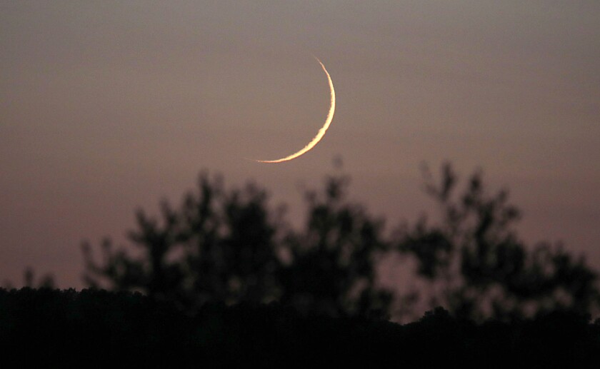 1.5 day old moon