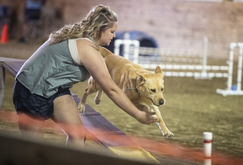 Sage Doty, 16, and her Yellow Lab, "Sadie," make their way through the course during the 4-H dog agility judging at the Kandiyohi County Fairgrounds Wednesday, August 10, 2022.