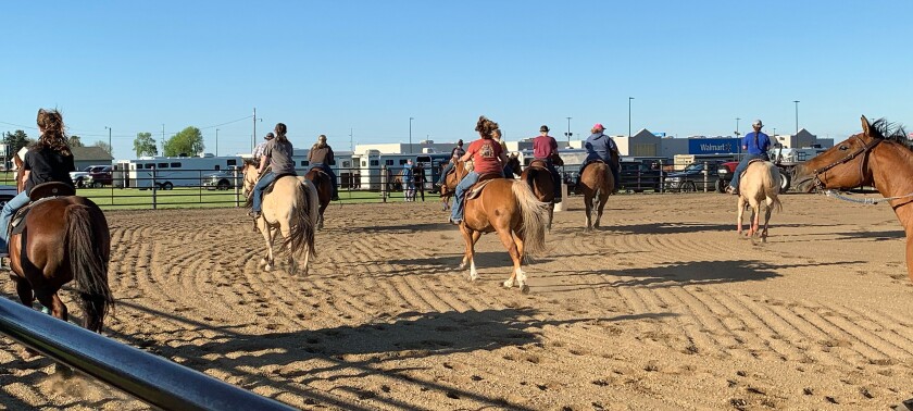 Limbering up their horses