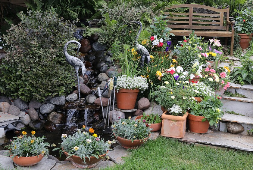 The garden of Greg and Judy Bonovetz