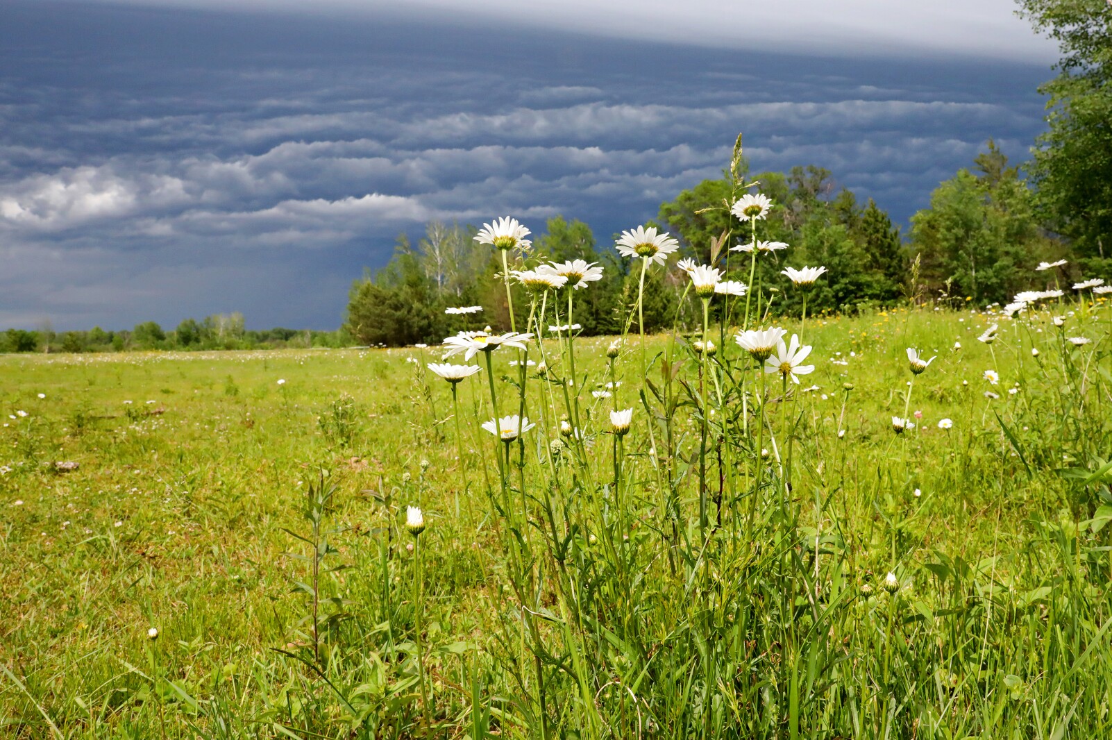 Dramatic looking storm clouds move through the area Saturday, June 18, 2022, in the Brainerd lakes area.