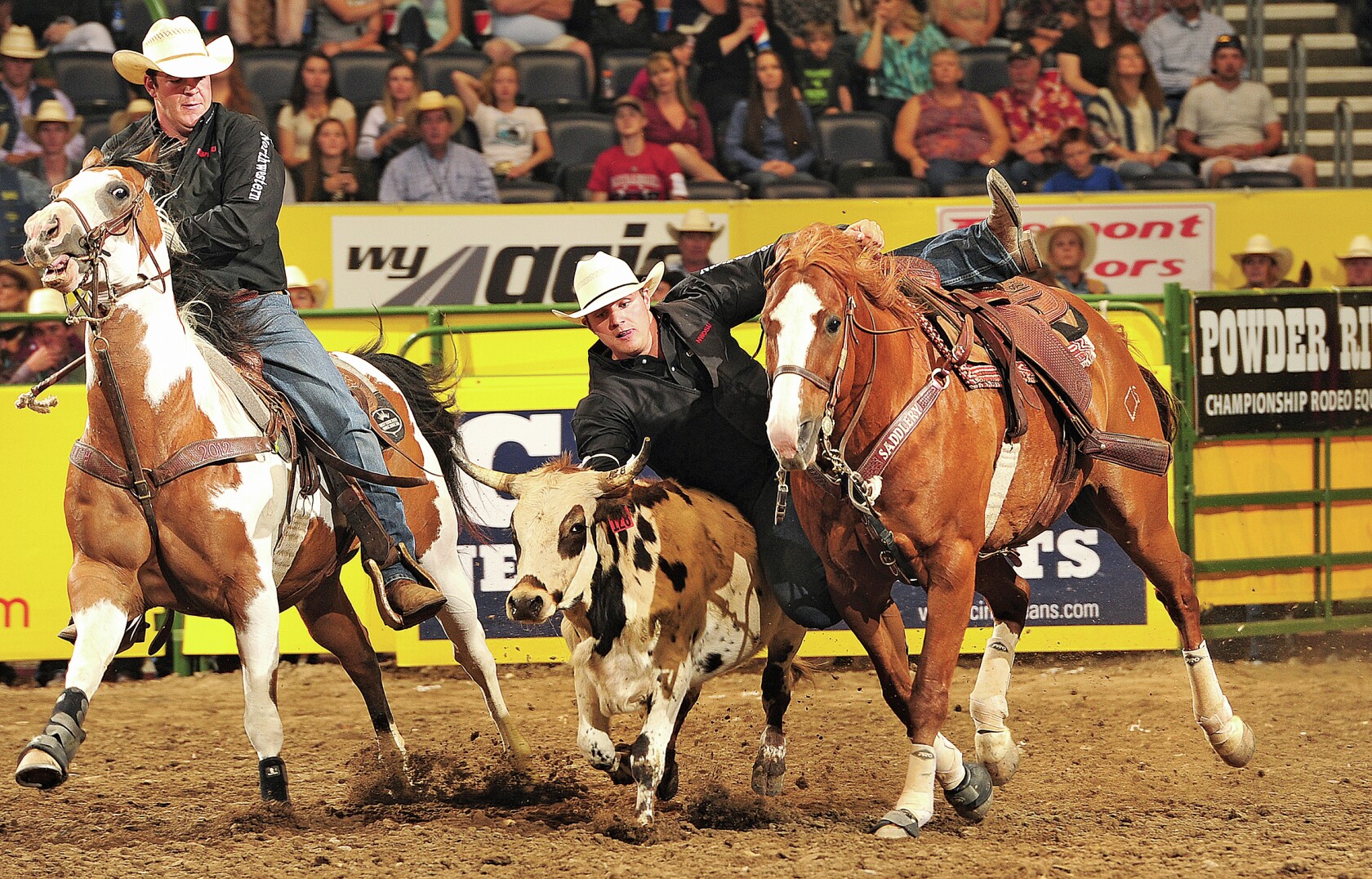 Struxness hunts for rodeo gold - West Central Tribune | News, weather ...