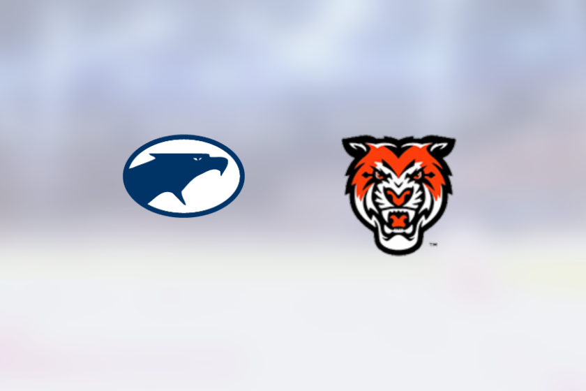 img_500216698_rinklive.png