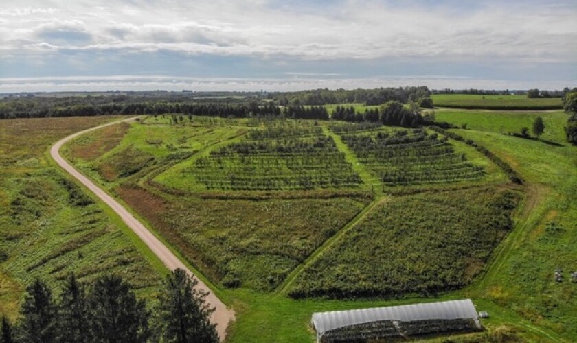 Cider Farm
