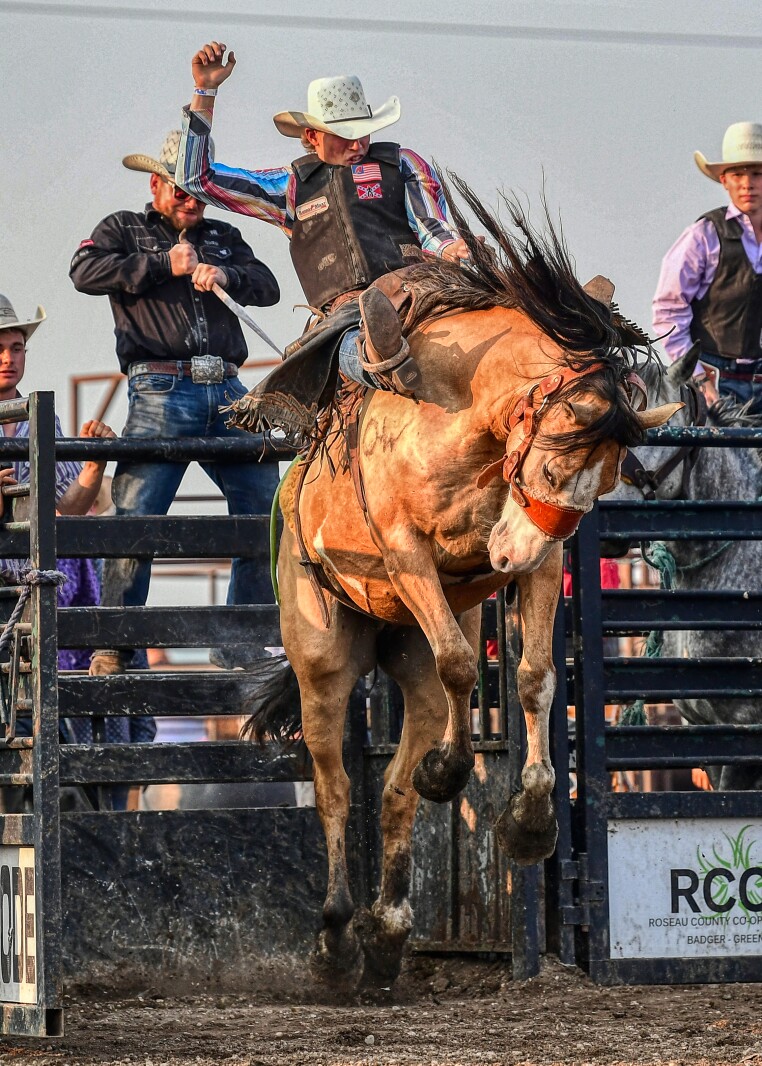 Ticket sales move online for Wojo Rodeo - Wadena Pioneer Journal | News ...