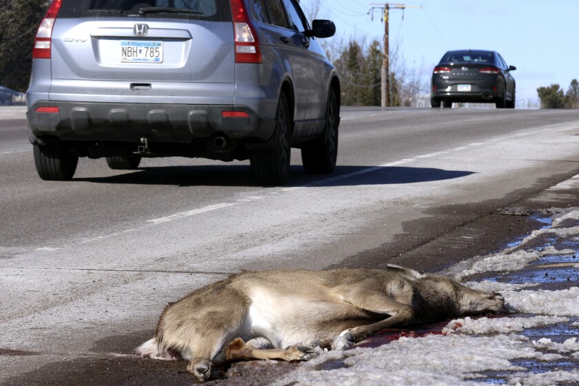 Deer-vehicle crashes.