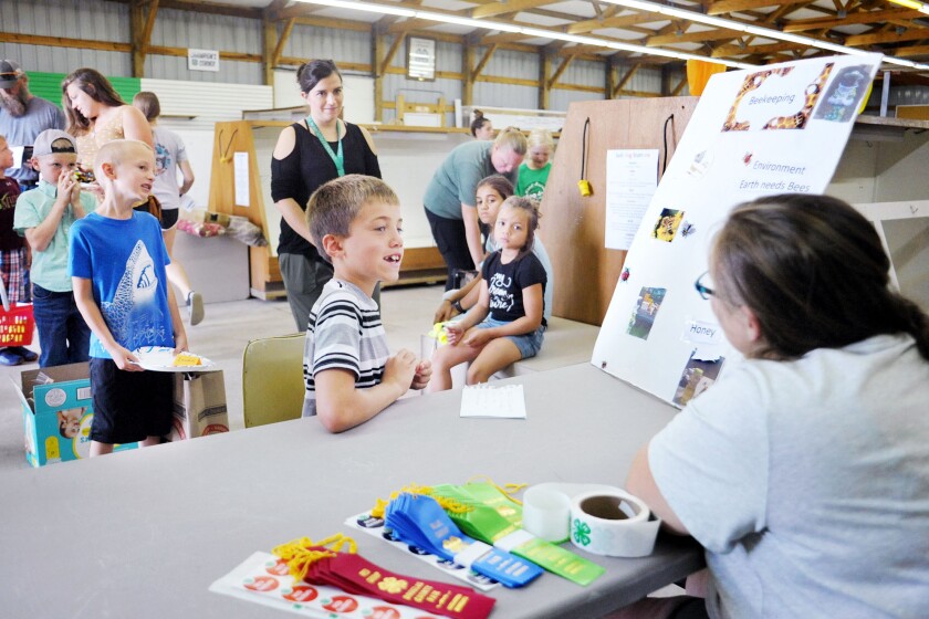 Children entering 4h projects at fair