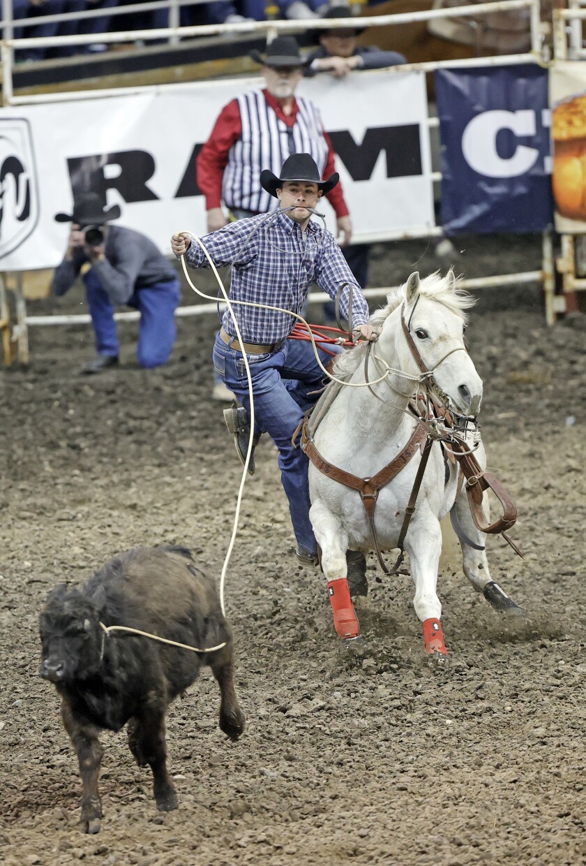 PHOTOS: PRCA Rodeo makes rowdy return to Fargodome - InForum | Fargo ...