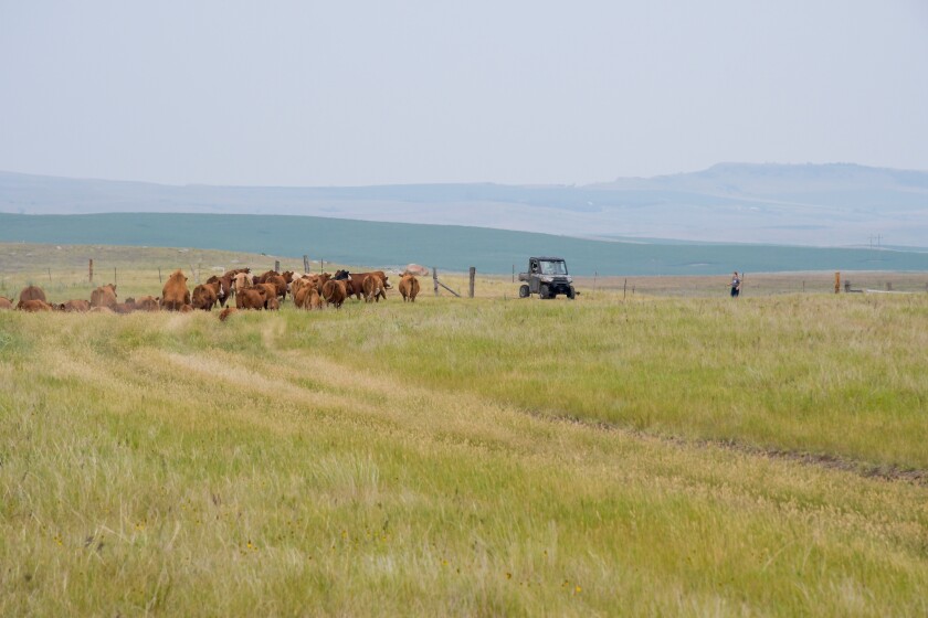 Ranchers ND.jpg
