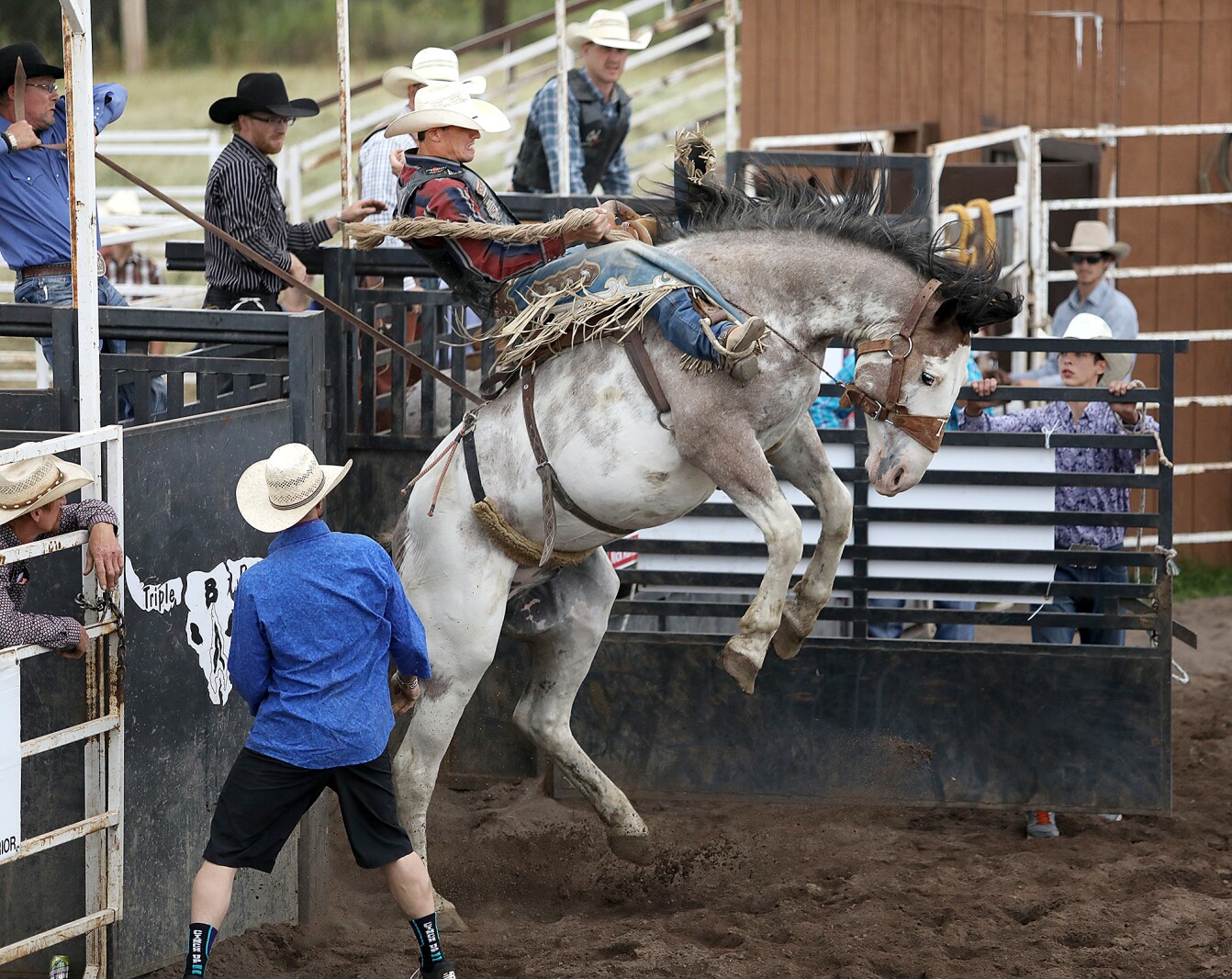 Photo gallery: 2019 Great Northern Classic Rodeo in Superior - Duluth ...