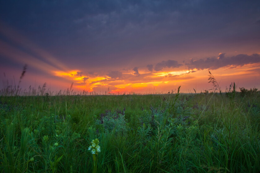 Tallgrass prairie region provides a Minnesota hiking alternative