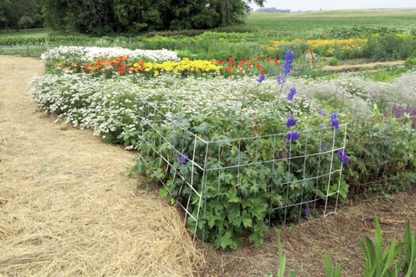 Rustic Designs Flower Garden