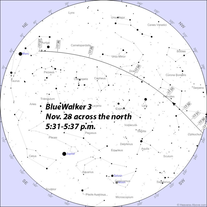 Bluewalker Nov. 28