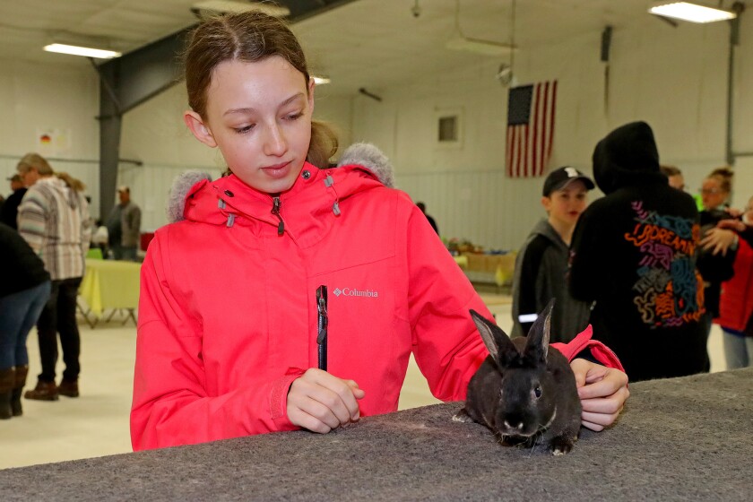 The 14th annual 4-H rabbit fun show and workshop judging Saturday, April 30, 2022, at the Crow Wing County Fairgrounds.