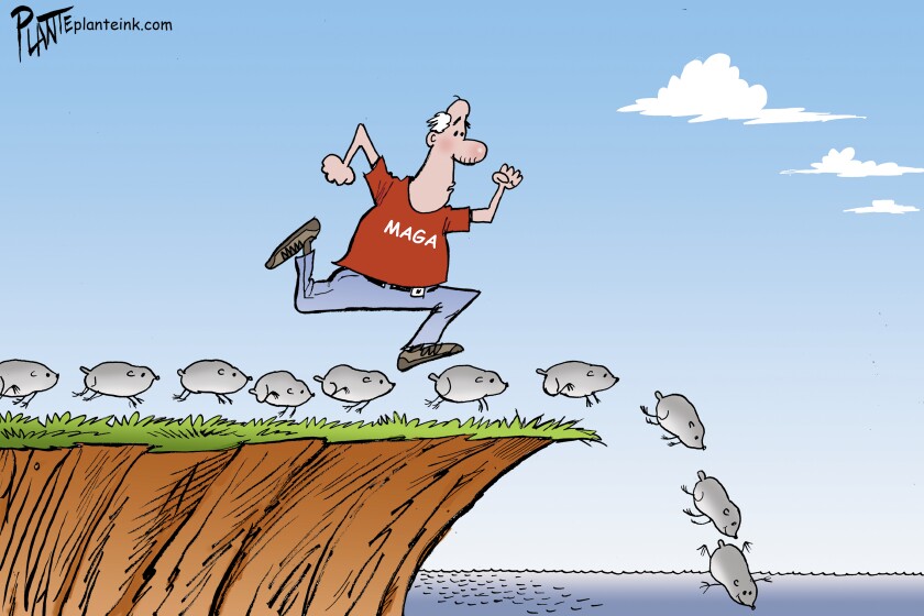 Like lemmings to the sea