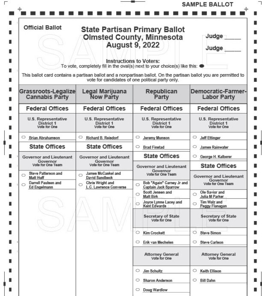 6 things to know about the Aug. 9 election - Post Bulletin | Rochester ...