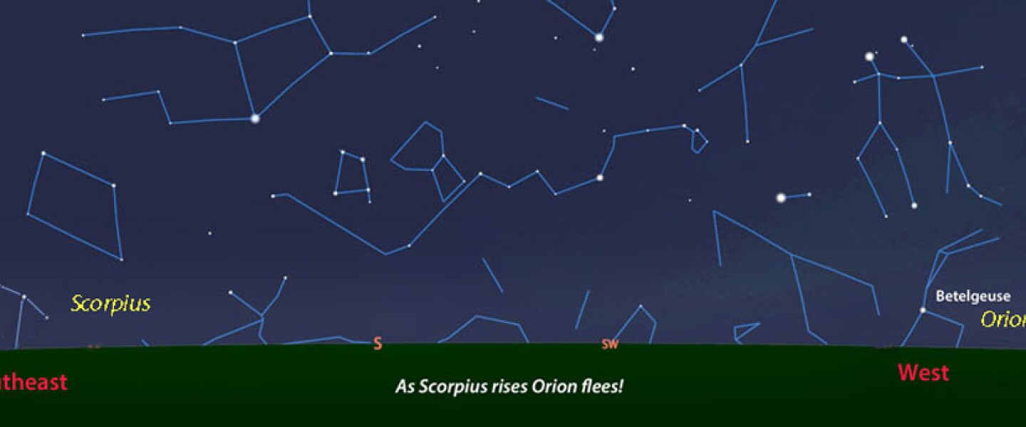 Scorpius Orion