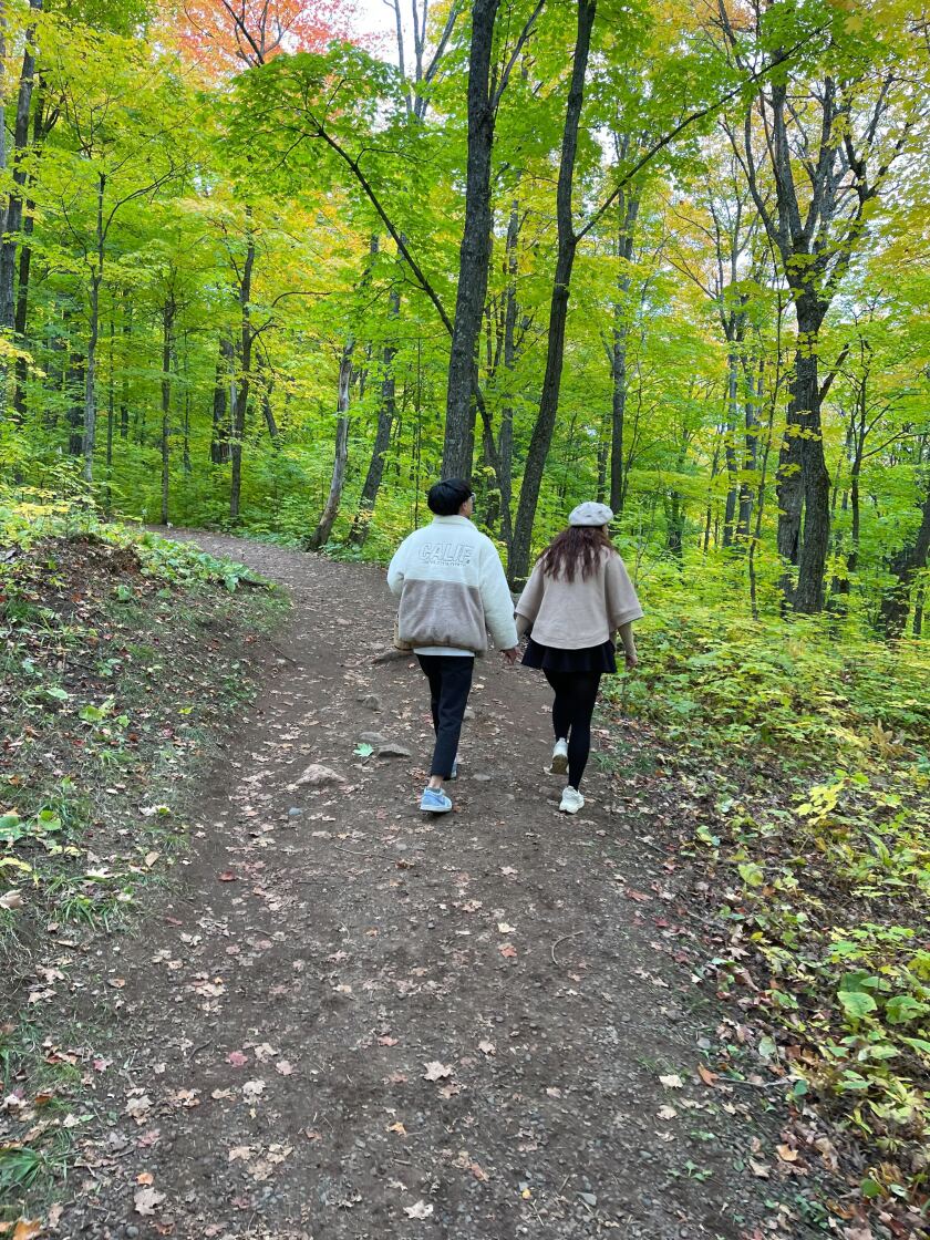 Two people walk hand in hand along a dirt path through a green leafy deciduous forest.