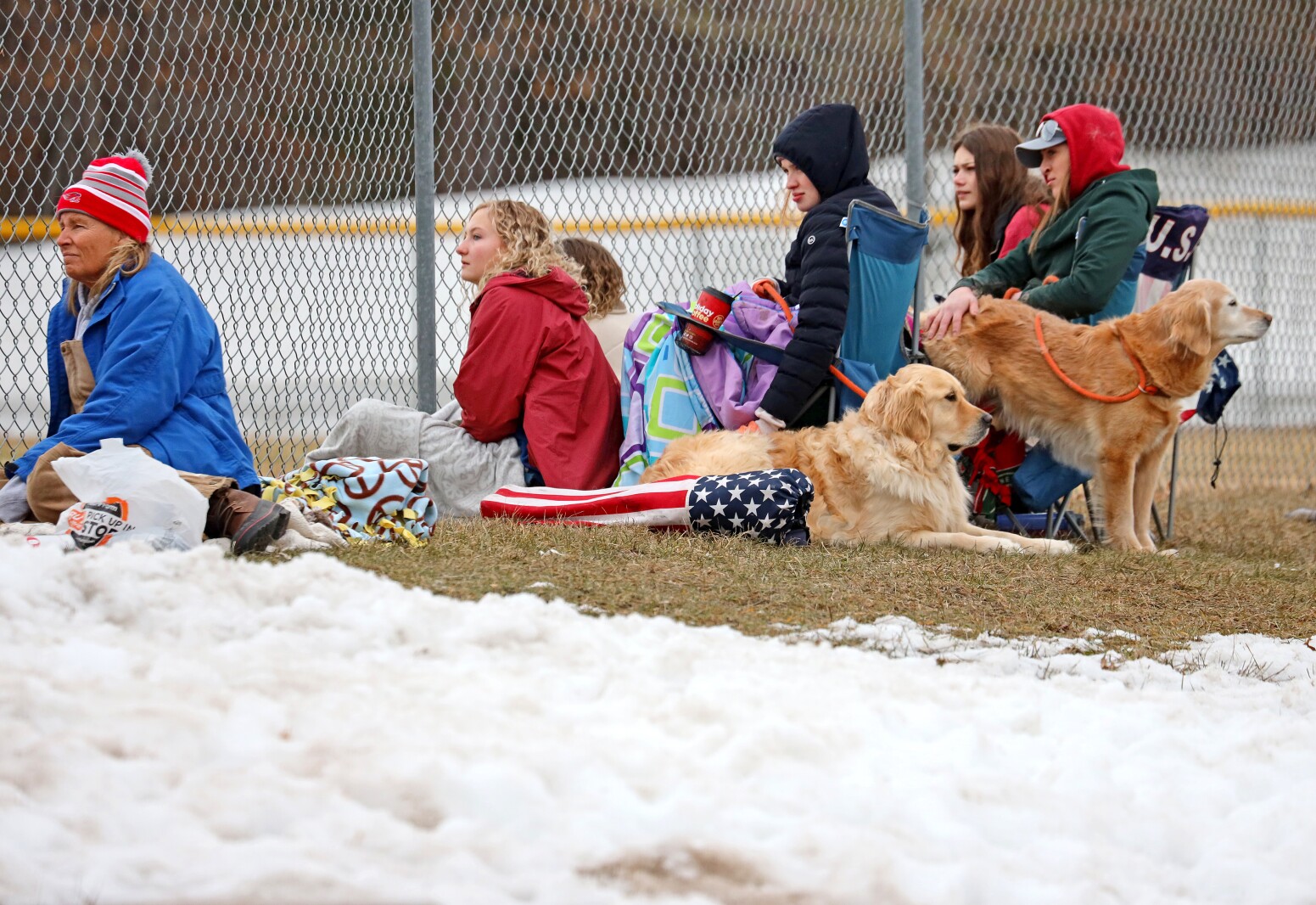 People watch the baseball game while the dogs prefer watching other things.
