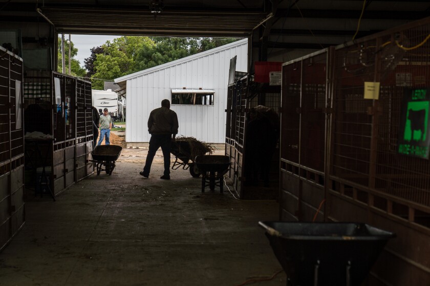 Mower County Fair
