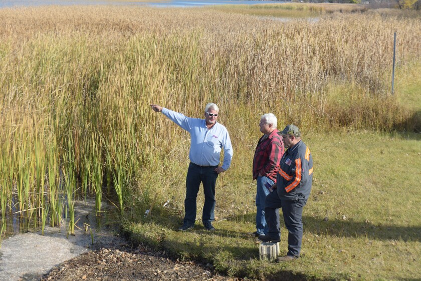 A monstrous bog that broke off the shoreline a few weeks ago in Merrifield Bay on North Long Lake just outside of Brainerd continues to amaze residents. Steve Kohls / Forum news Serivce
