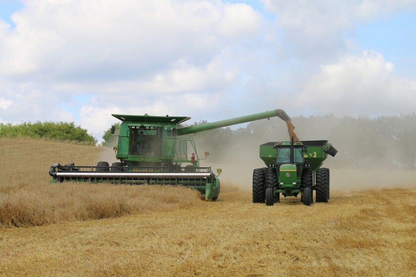 2117538+082515.A.GFH_.CropStop05.jpg