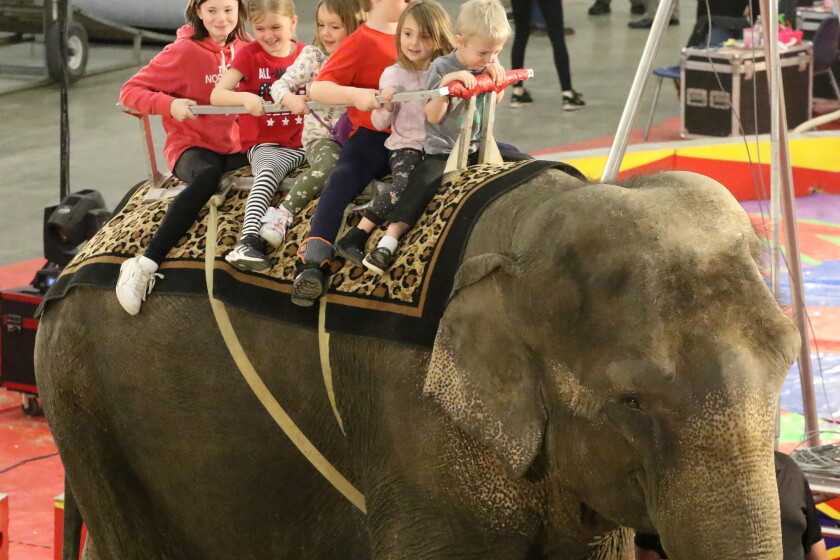 Faces at the circus - Jamestown Sun | News, weather, sports from ...