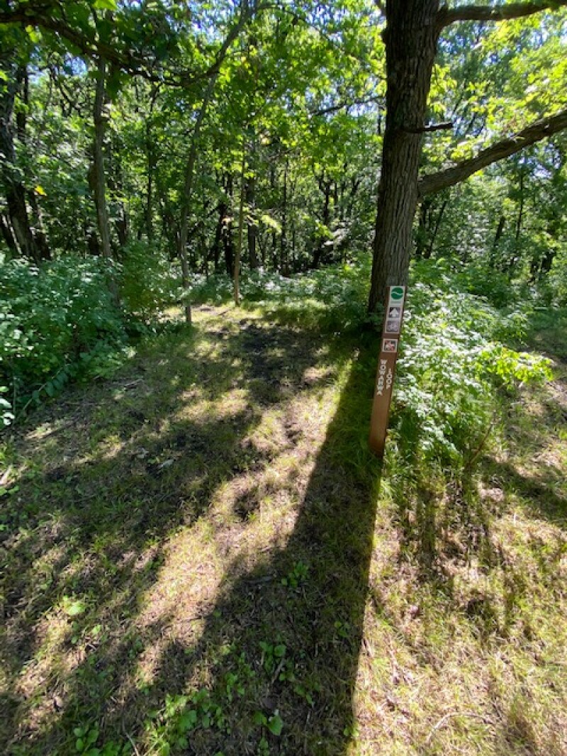 Mountain Bike Trail Opens In Jackson County The Globe News Weather mountain-bike-trail-opens-in-jackson-county-the-globe-news-weather