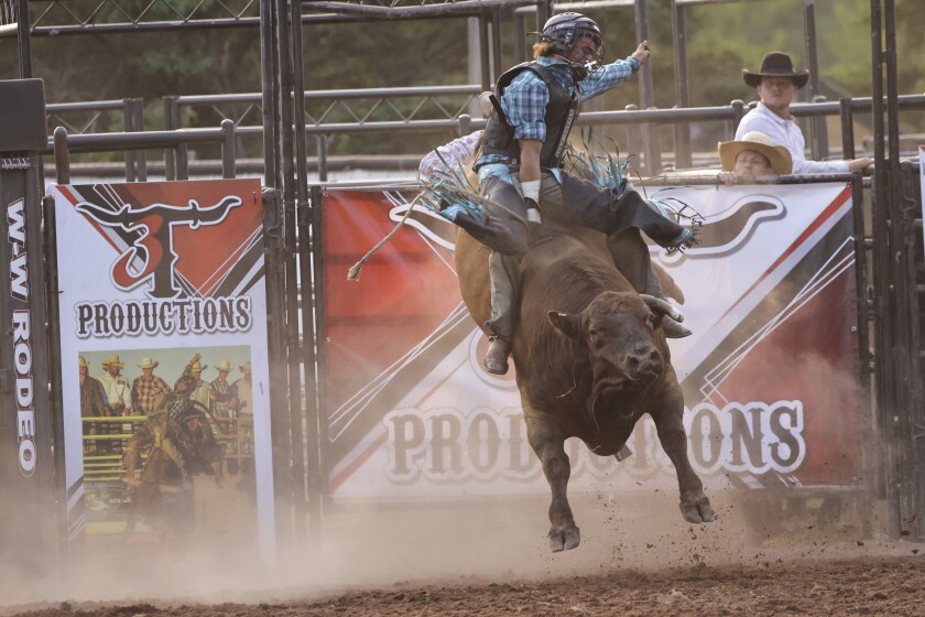 Spring Fever Days rodeo provides community connection - Cloquet Pine ...