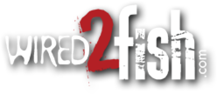 w2f-logo-for-website.png