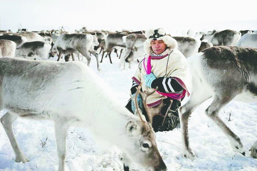 Sami Rind Photographer speaks on Sami culture - Duluth News Tribune | News ...