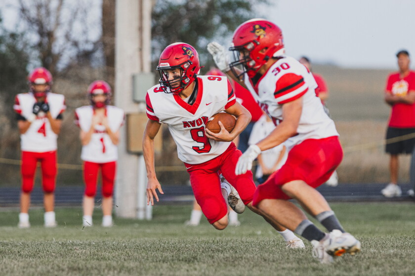 Individual Report Project South Dakota Gridiron Report: Checking in with the 10 remaining ...