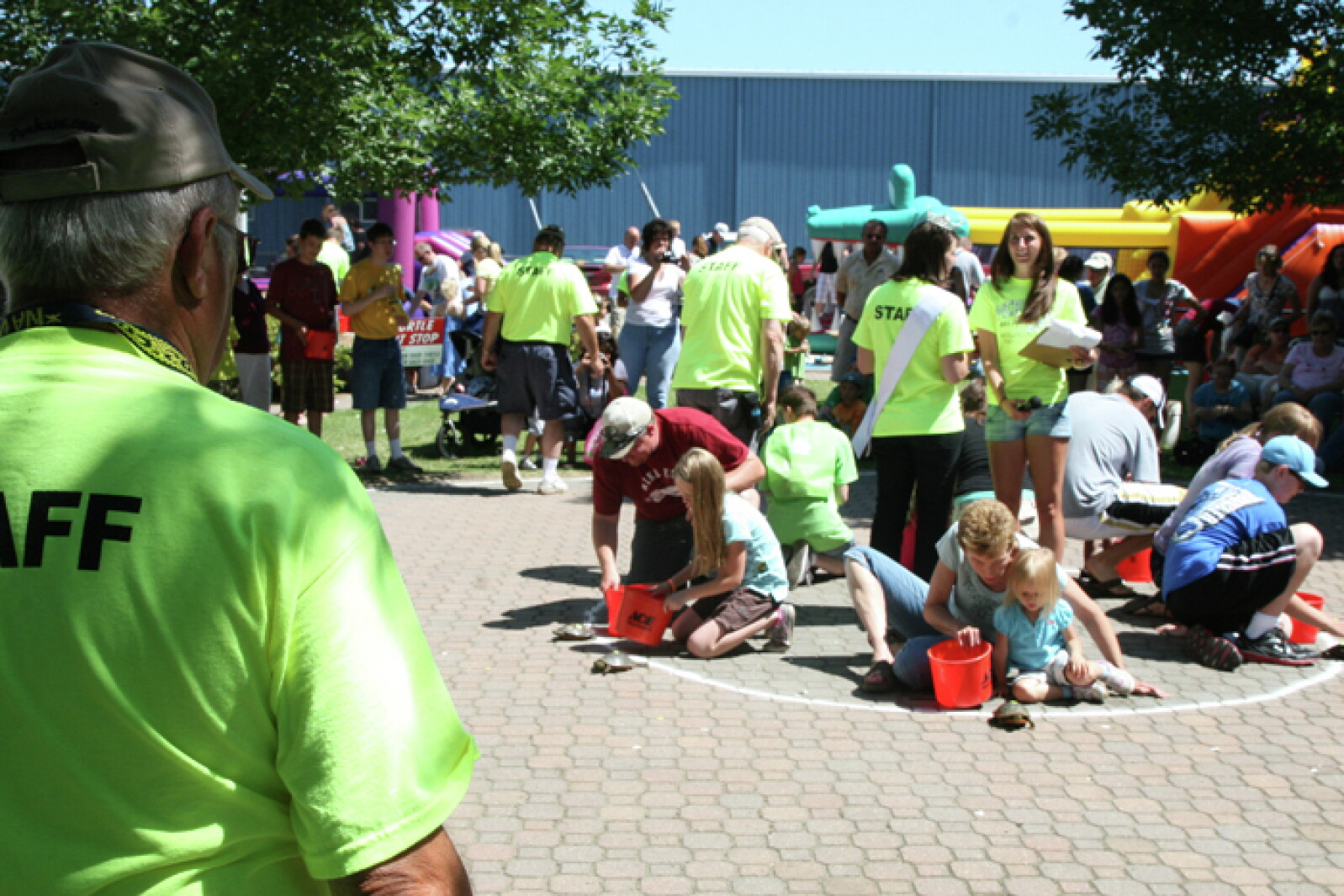 Perham Turtle Races Perham turtle races set single-day record - Perham Focus | News ...
