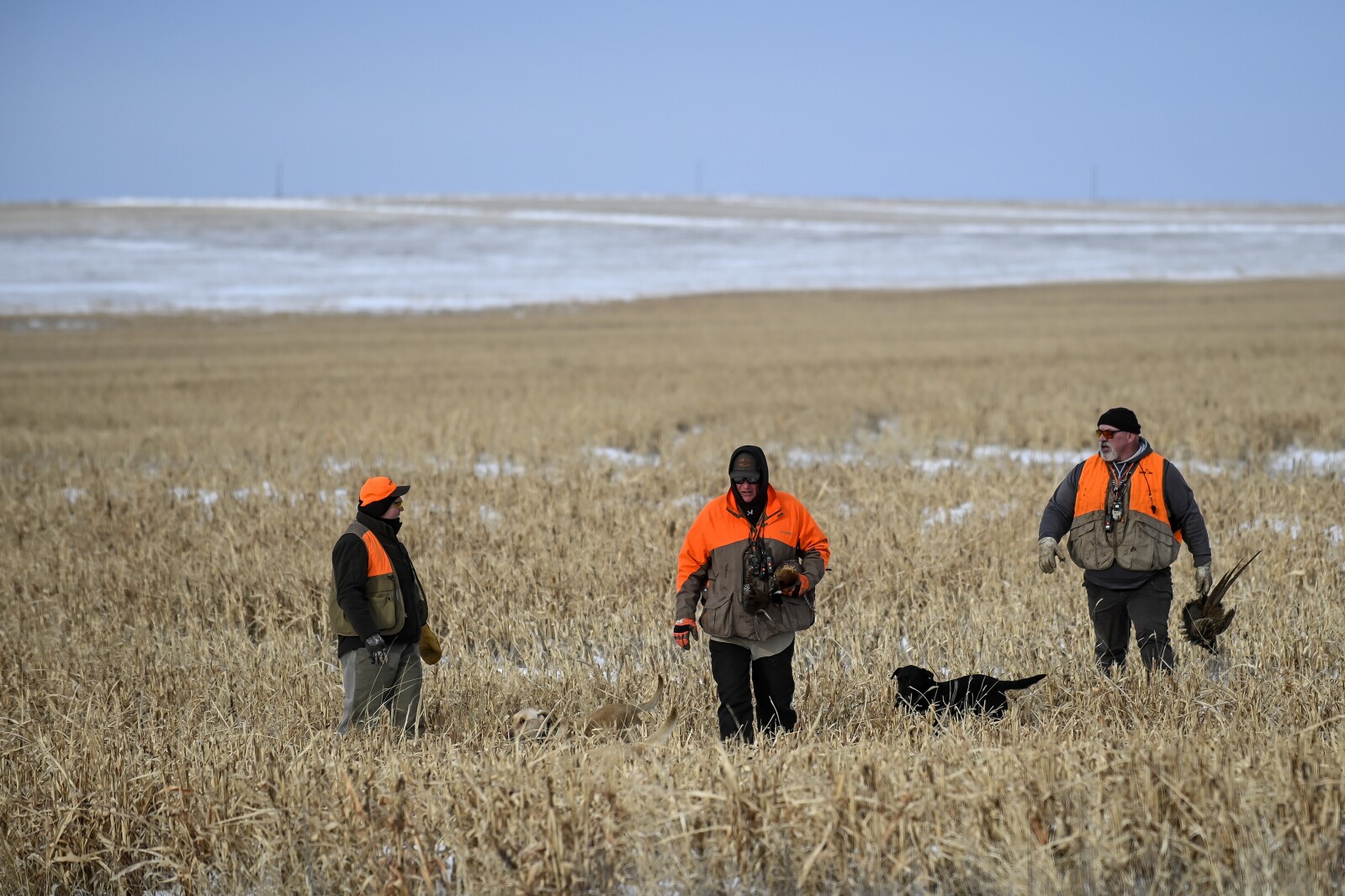 011222.N.DR.HUSKERHUNT74.jpg